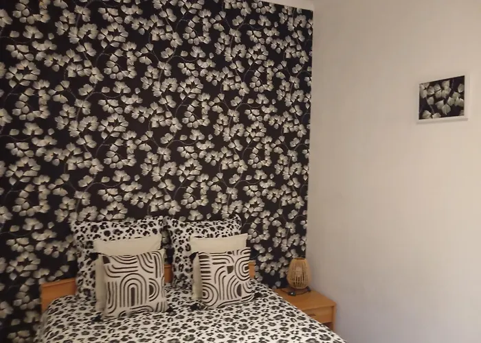 Appartement Hyper Centre 1 Lorient Jardin Clos
